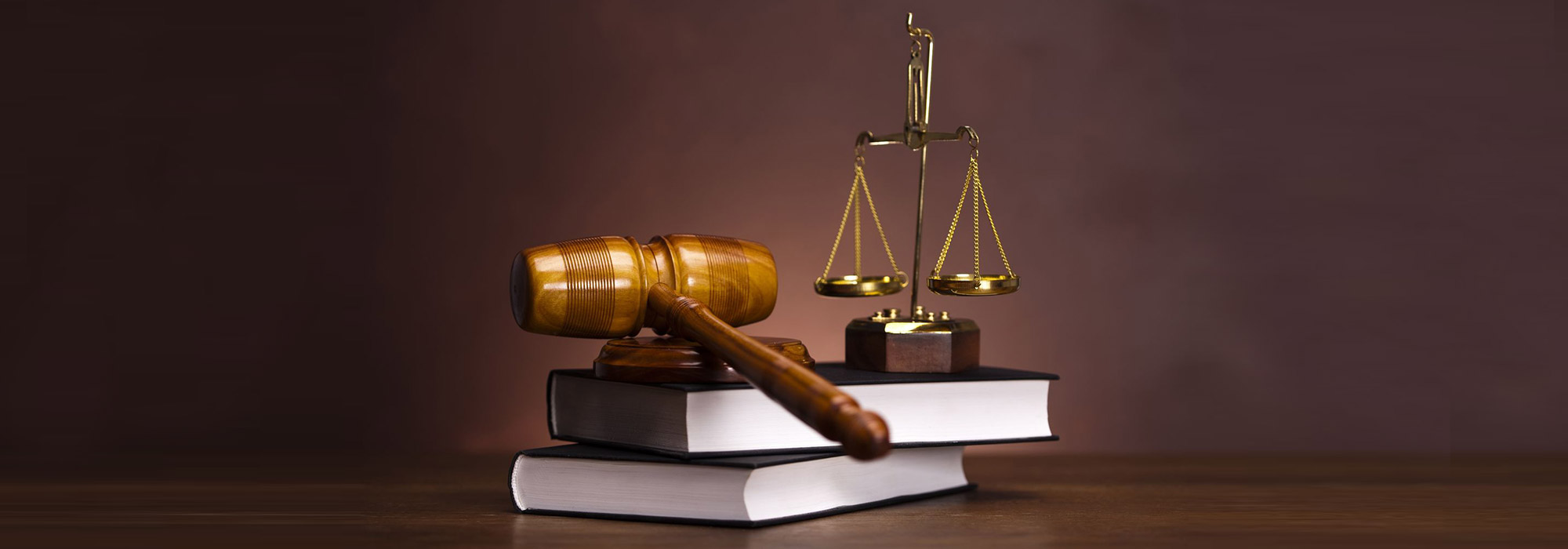 Aydan O�lu Avukatl�k Hizmetleri